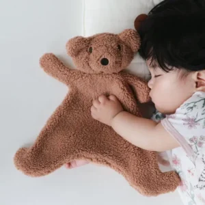 Bear Sleep Toy